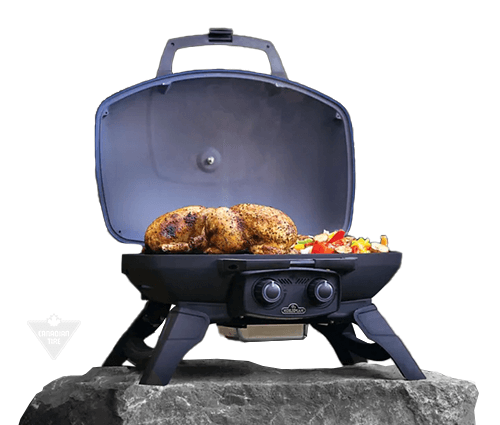 Camping grill on a rock with cooked meat and vegetable on the grill