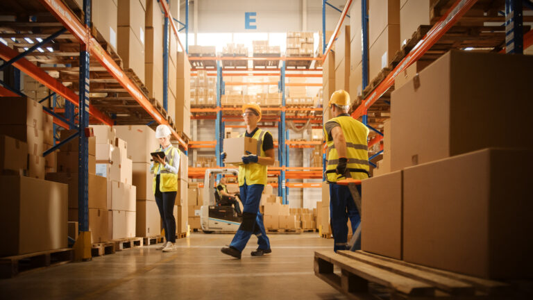 Navigating the Digital Landscape: E-commerce Solutions for Distributors