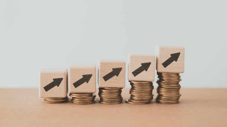 Maximizing Margins: Pricing Strategies for Amazon Sellers