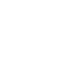 The seal for The Black Business Catalyst Project